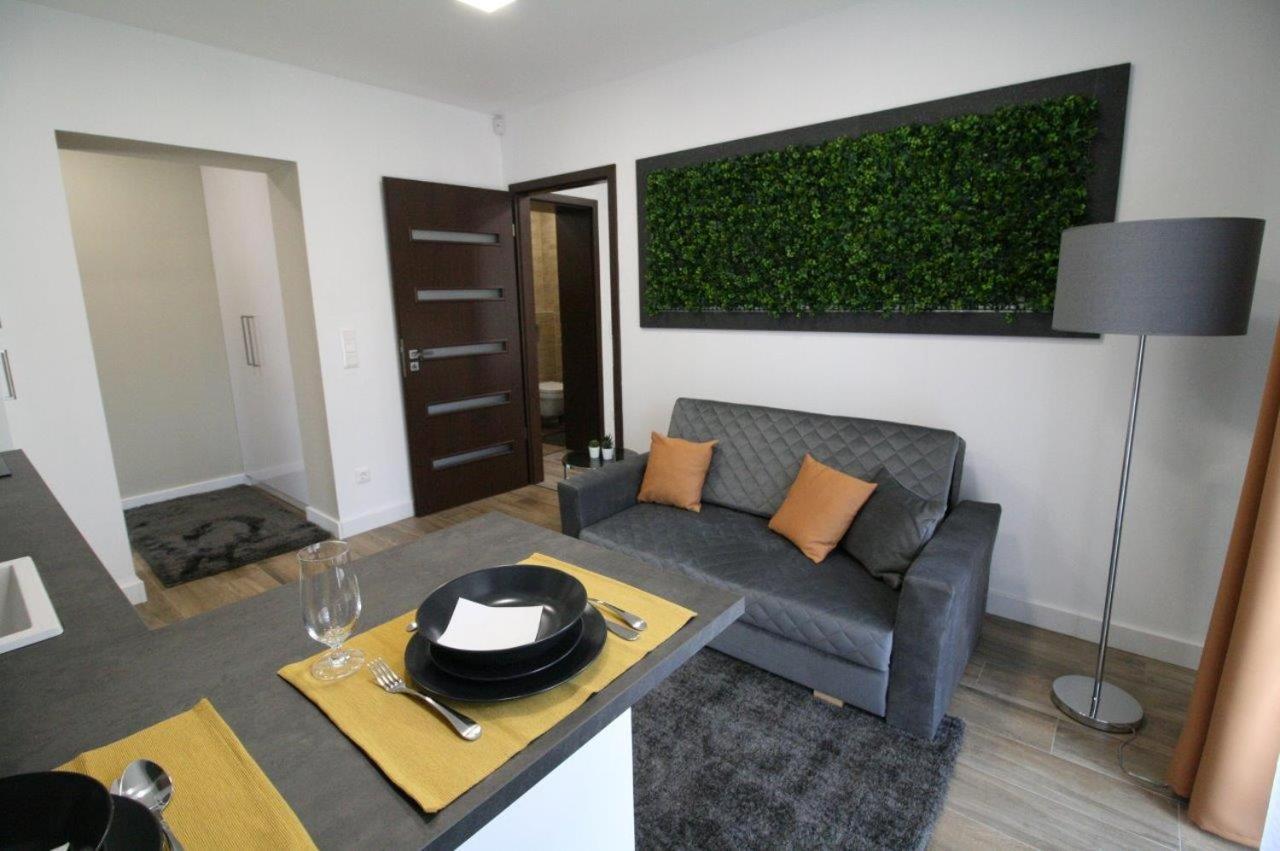 True Gem At The Airport Apartament Budapeszt